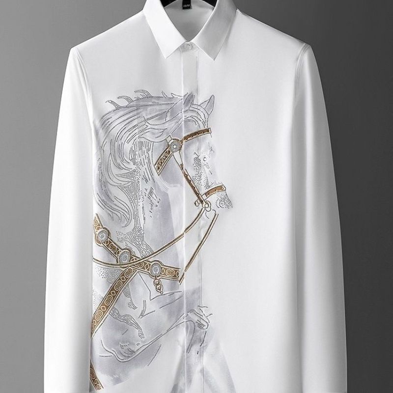 Abito Camicie bianche da uomo  - Dress Shirt Non-Iron recensione e prezzo